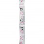 Bachelorette Sash 1